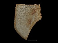 磨製斧鋤形器藏品圖，第2張