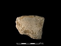 陶片藏品圖，第2張