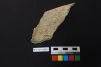 陶片藏品圖，第2張