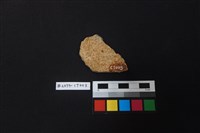 陶片藏品圖，第2張