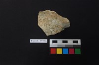 陶片藏品圖，第1張