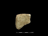 錛鑿形器藏品圖，第1張