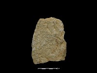 斧鋤形器藏品圖，第1張