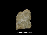 斧鋤形器藏品圖，第1張