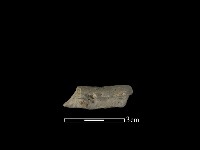 陶片藏品圖，第2張