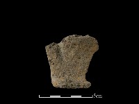 陶片藏品圖，第2張