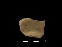 陶片藏品圖，第2張