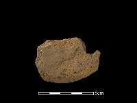 陶片藏品圖，第1張