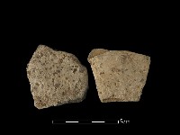 陶片藏品圖，第1張