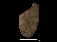 斧鋤形器藏品圖，第1張