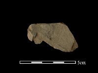 帶加工痕石材藏品圖，第2張