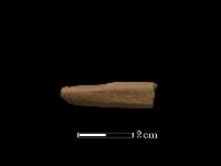 網墜藏品圖，第2張