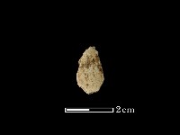 矛鏃形器藏品圖，第2張