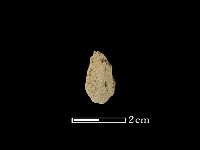 矛鏃形器藏品圖，第1張