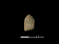 矛鏃形器藏品圖，第2張