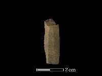 矛鏃形器藏品圖，第1張