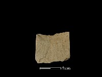 矛鏃形器藏品圖，第2張