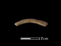 陶環藏品圖，第2張