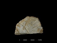 打製石器藏品圖，第2張