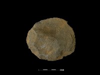 打製石器藏品圖，第1張