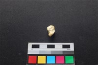 狗骨藏品圖，第2張