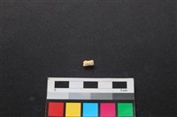 狗骨藏品圖，第2張