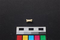 狗骨藏品圖，第2張