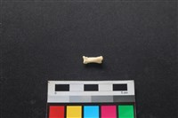 狗骨藏品圖，第2張