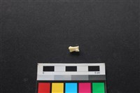 狗骨藏品圖，第2張