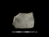 陶片藏品圖，第2張