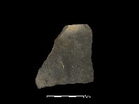 陶片藏品圖，第1張