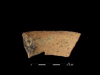 陶罐藏品圖，第2張