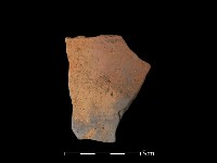 陶片藏品圖，第2張