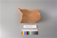 陶片藏品圖，第4張