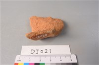 陶片藏品圖，第4張