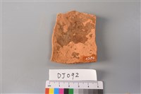 陶片藏品圖，第2張