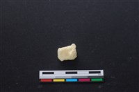 豬骨藏品圖，第3張