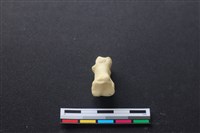 豬骨藏品圖，第3張