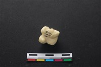 豬骨藏品圖，第2張