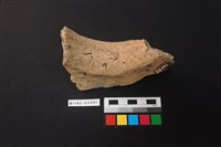 陶片藏品圖，第4張