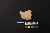 陶片藏品圖，第2張