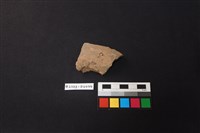 陶片藏品圖，第1張