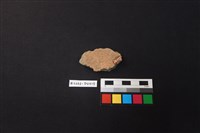 陶片藏品圖，第2張