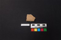 陶片藏品圖，第1張