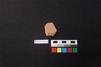 陶片藏品圖，第2張