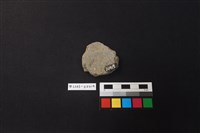 陶片藏品圖，第2張