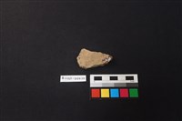 陶片藏品圖，第2張