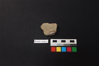 陶片藏品圖，第2張