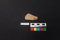 陶片藏品圖，第2張