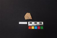 陶片藏品圖，第2張